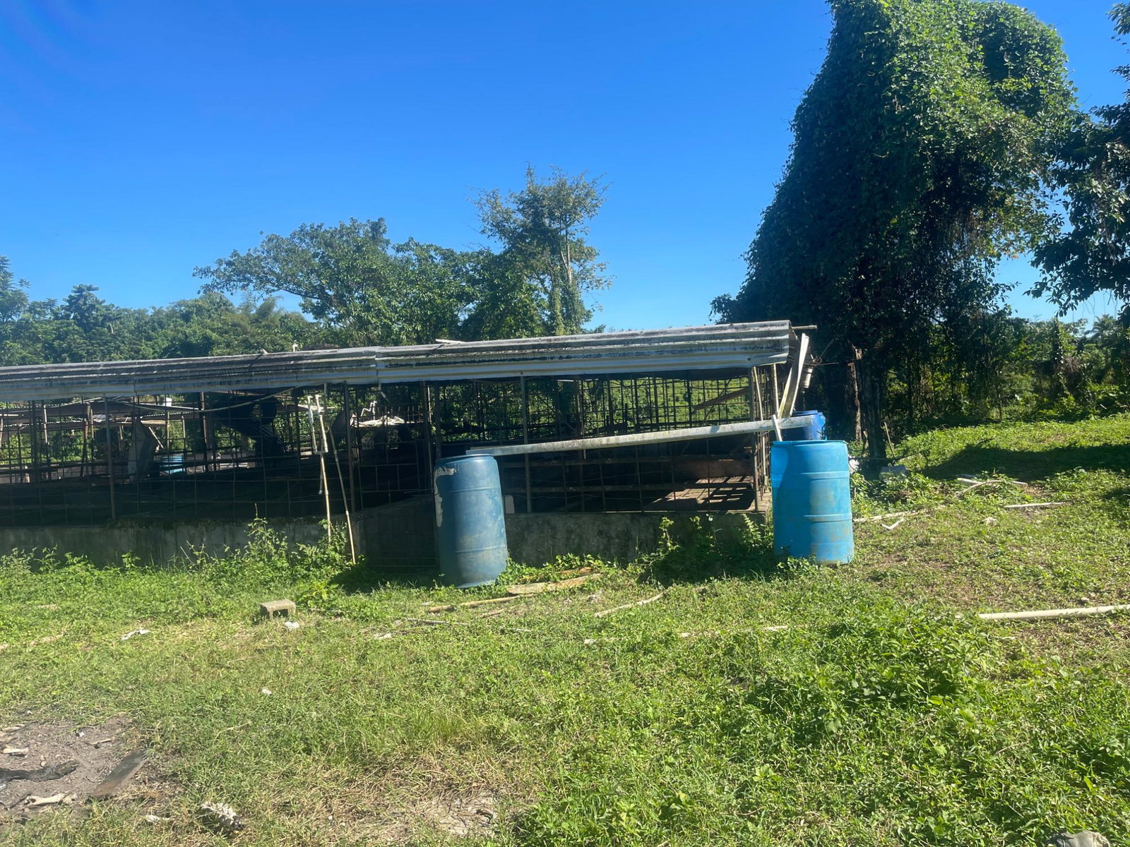 Seventeenth image of 70a Haughton Grove in Haughton Grove, Hanover, Jamaica - property is For Sale