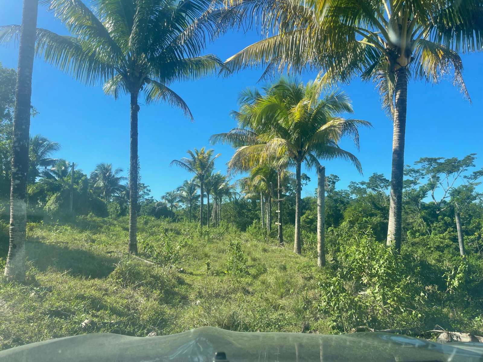 Third image of 70a Haughton Grove in Haughton Grove, Hanover, Jamaica - property is For Sale