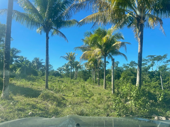 Third image of 70a Haughton Grove in Haughton Grove, Hanover, Jamaica - property is For Sale