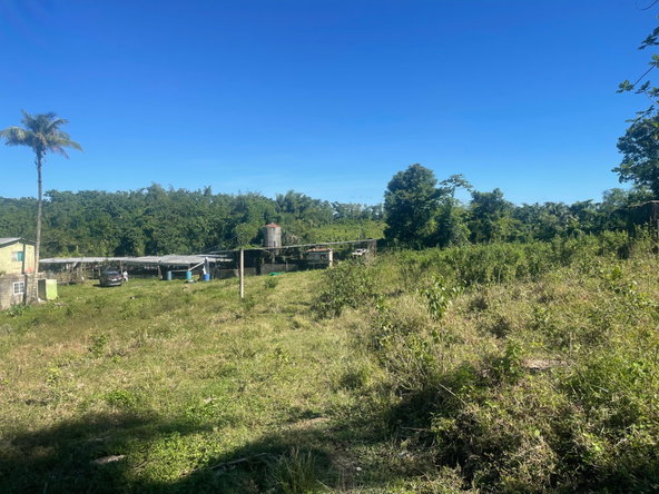 Fifth image of 70a Haughton Grove in Haughton Grove, Hanover, Jamaica - property is For Sale