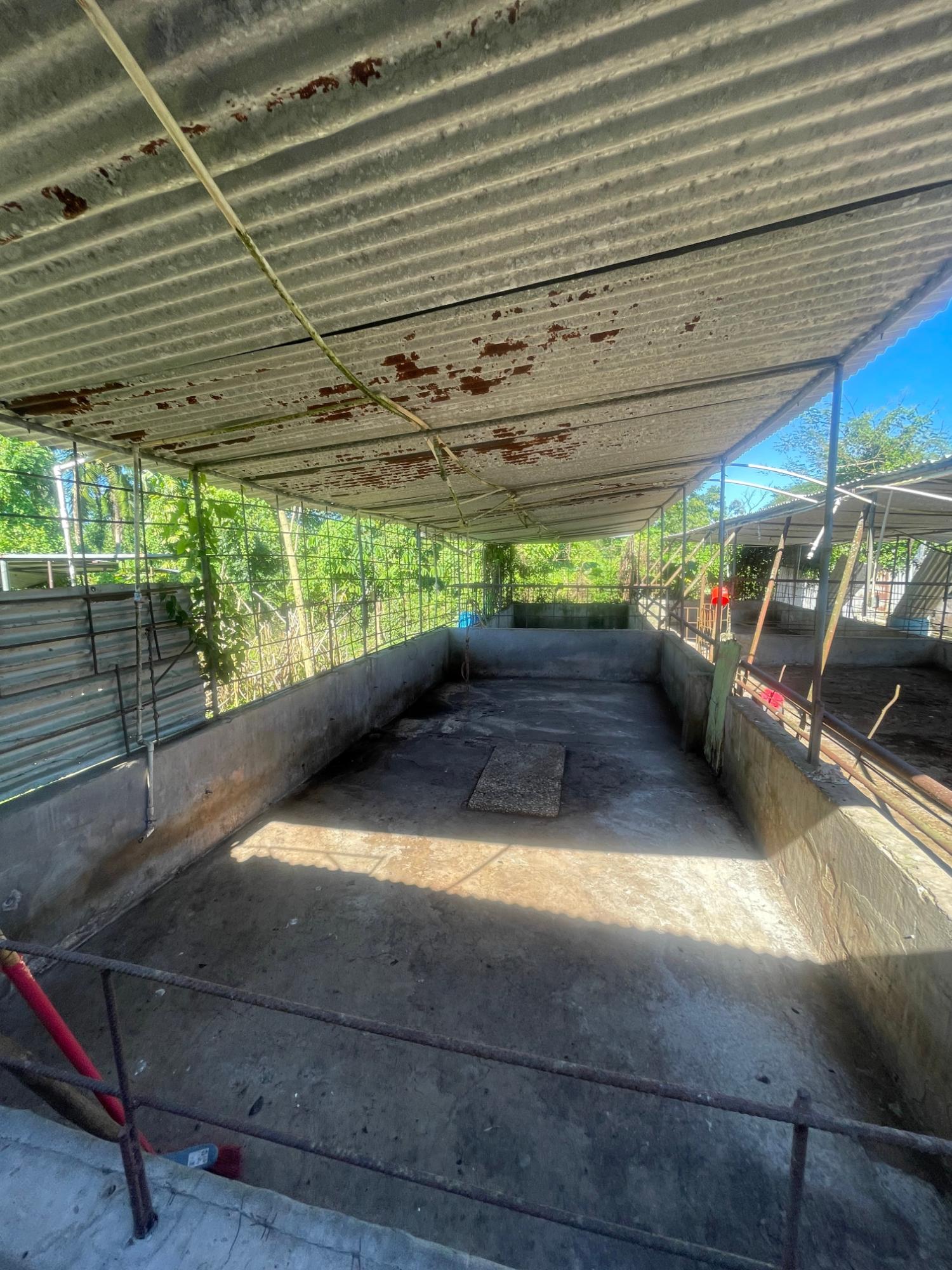 Ninth image of 70a Haughton Grove in Haughton Grove, Hanover, Jamaica - property is For Sale