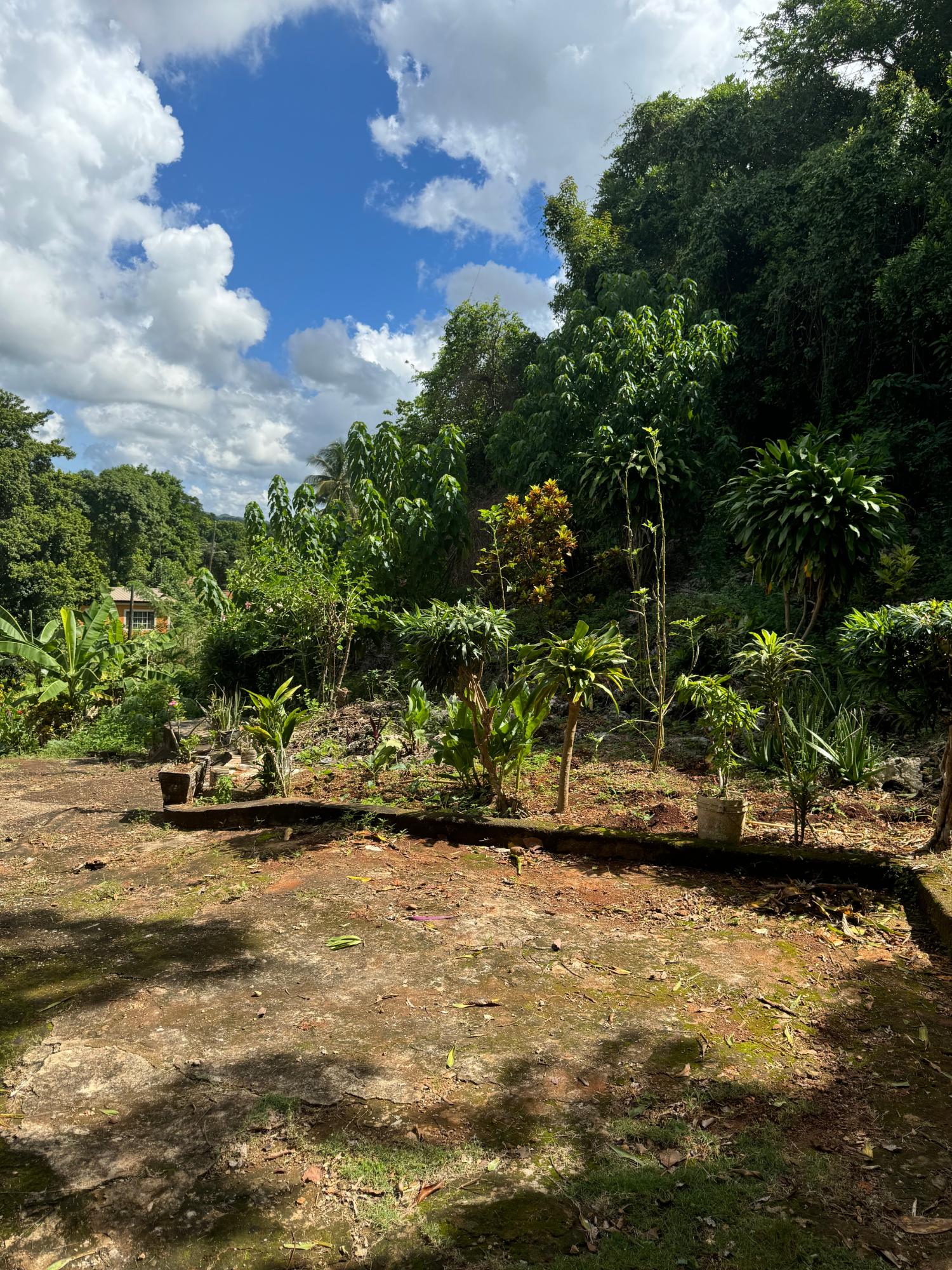 Charming-5-Bedroom-Farmhouse-in-Kitson-Town-St.-Catherine Nineteenth image of Kingsland, Kitson Town, s in KITSON TOWN, St. Catherine, Jamaica - property is For Sale