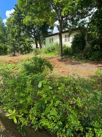 Twentieth image of Kingsland, Kitson Town, s in KITSON TOWN, St. Catherine, Jamaica - property is For Sale