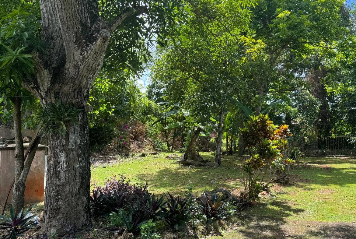Twenty-First image of Kingsland, Kitson Town, s in KITSON TOWN, St. Catherine, Jamaica - property is For Sale