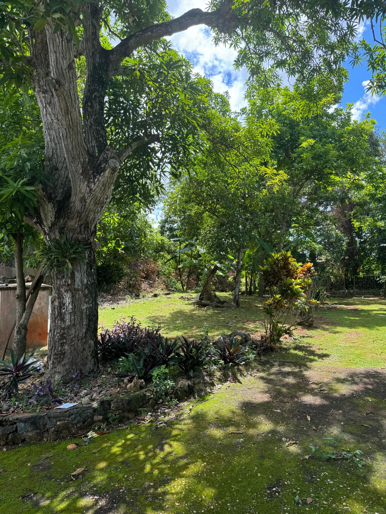 Charming-5-Bedroom-Farmhouse-in-Kitson-Town-St.-Catherine Twenty-First image of Kingsland, Kitson Town, s in KITSON TOWN, St. Catherine, Jamaica - property is For Sale