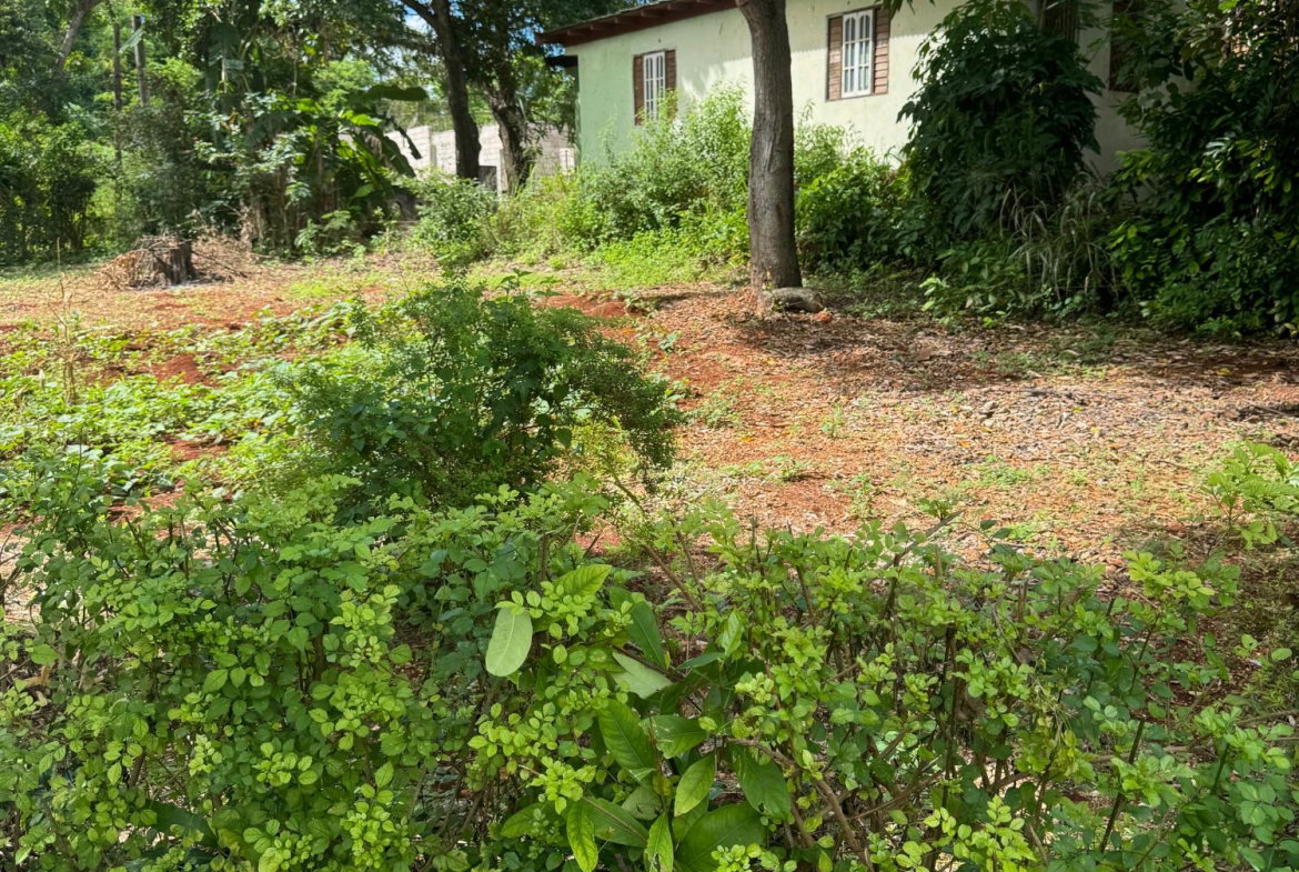 Twenty-Third image of Kingsland, Kitson Town, s in KITSON TOWN, St. Catherine, Jamaica - property is For Sale