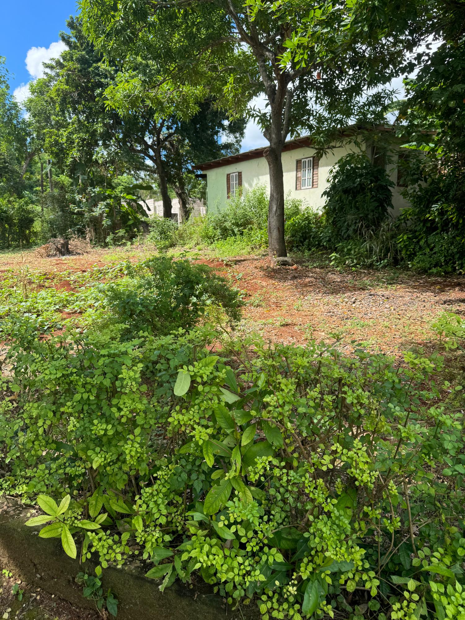 Charming-5-Bedroom-Farmhouse-in-Kitson-Town-St.-Catherine Twenty-Third image of Kingsland, Kitson Town, s in KITSON TOWN, St. Catherine, Jamaica - property is For Sale