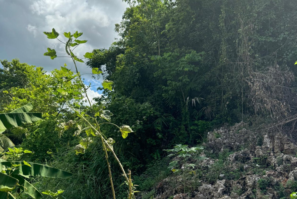 Twenty-Fourth image of Kingsland, Kitson Town, s in KITSON TOWN, St. Catherine, Jamaica - property is For Sale