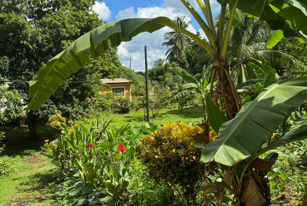 Twenty-Fifth image of Kingsland, Kitson Town, s in KITSON TOWN, St. Catherine, Jamaica - property is For Sale