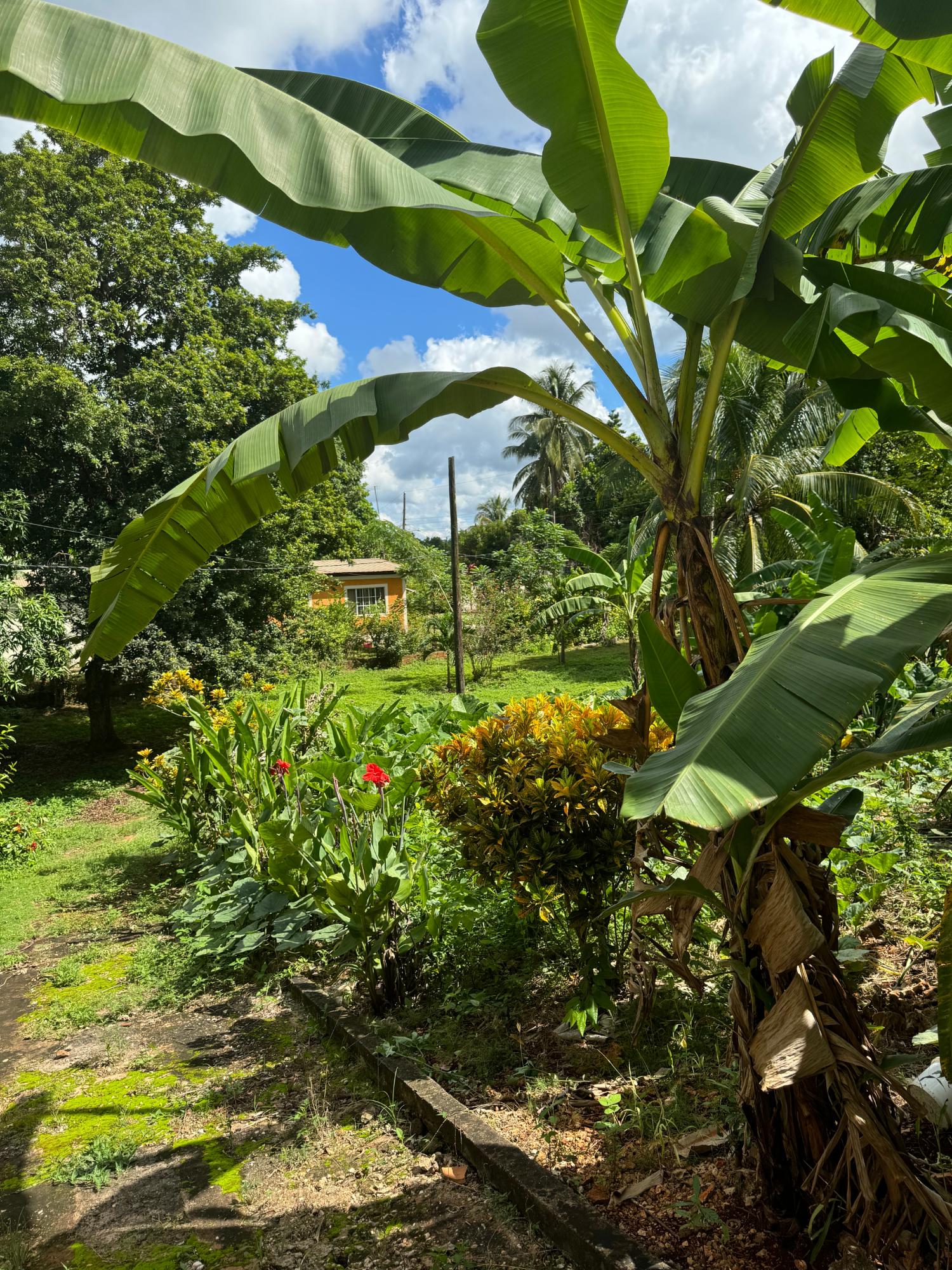 Charming-5-Bedroom-Farmhouse-in-Kitson-Town-St.-Catherine Twenty-Fifth image of Kingsland, Kitson Town, s in KITSON TOWN, St. Catherine, Jamaica - property is For Sale