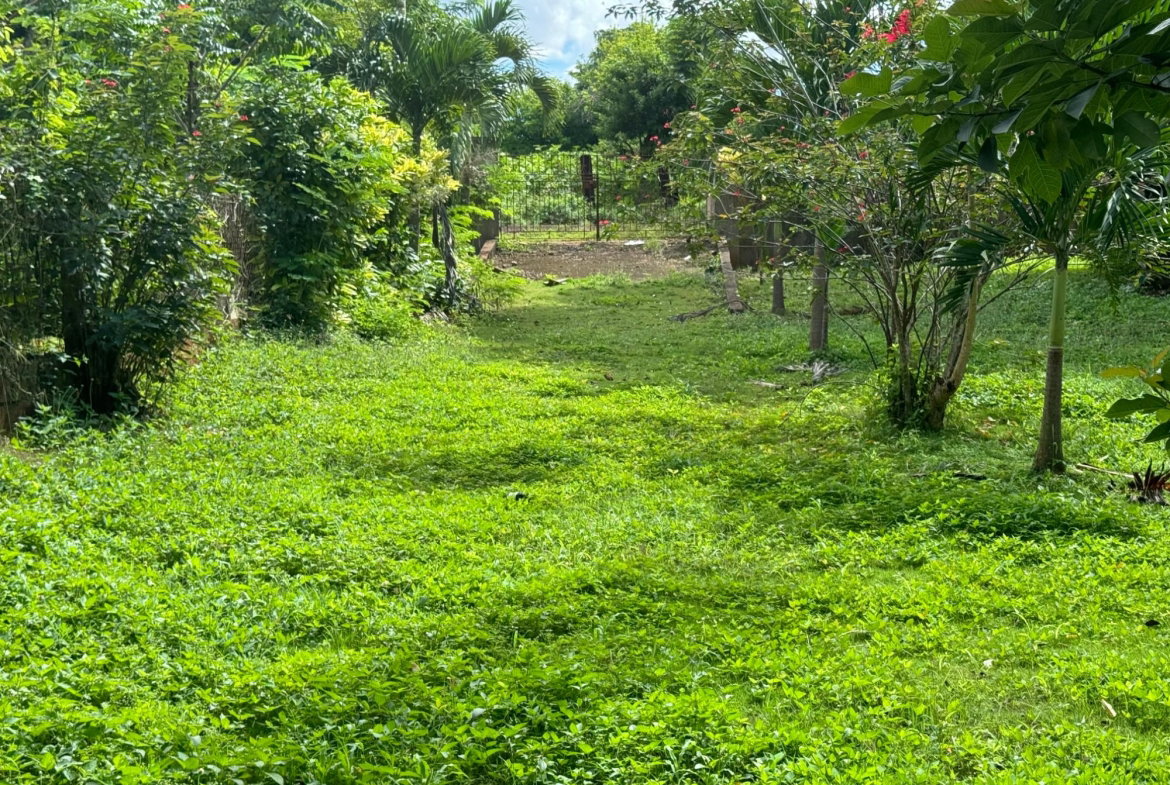 Twenty-Sixth image of Kingsland, Kitson Town, s in KITSON TOWN, St. Catherine, Jamaica - property is For Sale