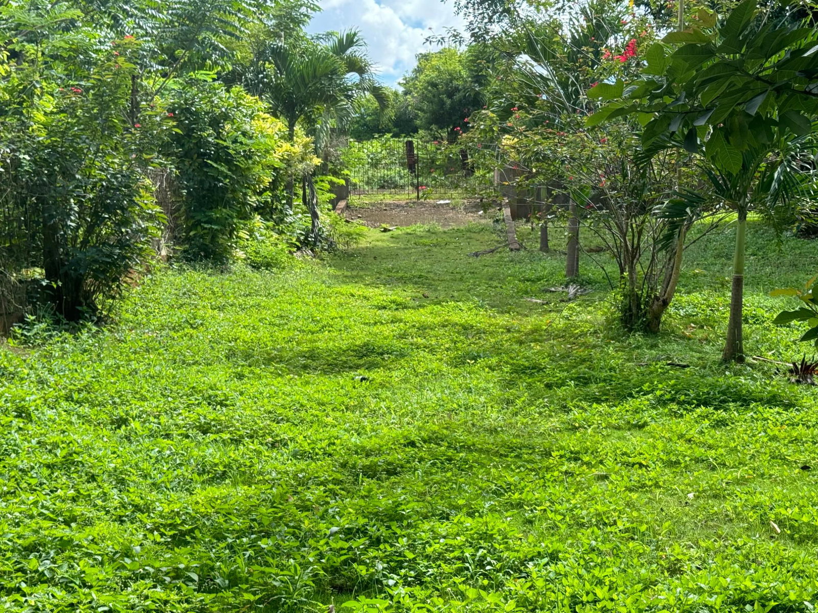 Charming-5-Bedroom-Farmhouse-in-Kitson-Town-St.-Catherine Twenty-Sixth image of Kingsland, Kitson Town, s in KITSON TOWN, St. Catherine, Jamaica - property is For Sale