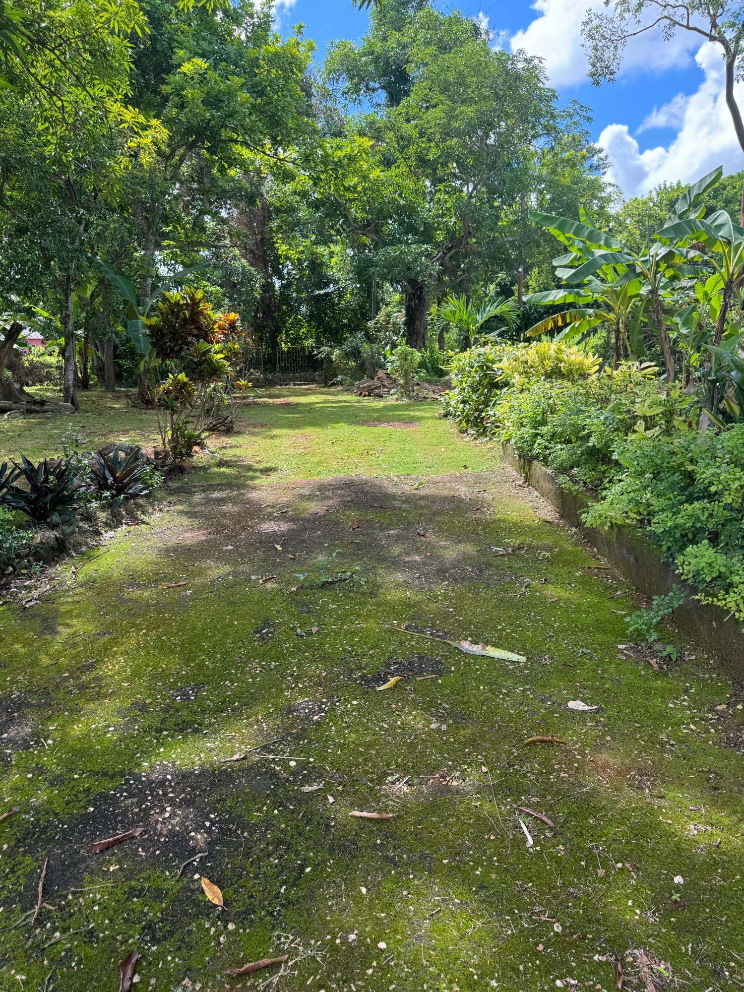 Charming-5-Bedroom-Farmhouse-in-Kitson-Town-St.-Catherine Twenty-Seventh image of Kingsland, Kitson Town, s in KITSON TOWN, St. Catherine, Jamaica - property is For Sale