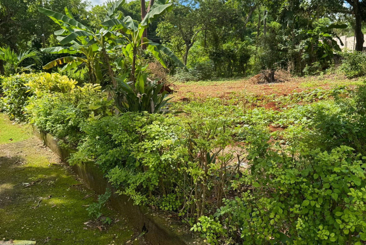 Ninth image of Kingsland, Kitson Town, s in KITSON TOWN, St. Catherine, Jamaica - property is For Sale