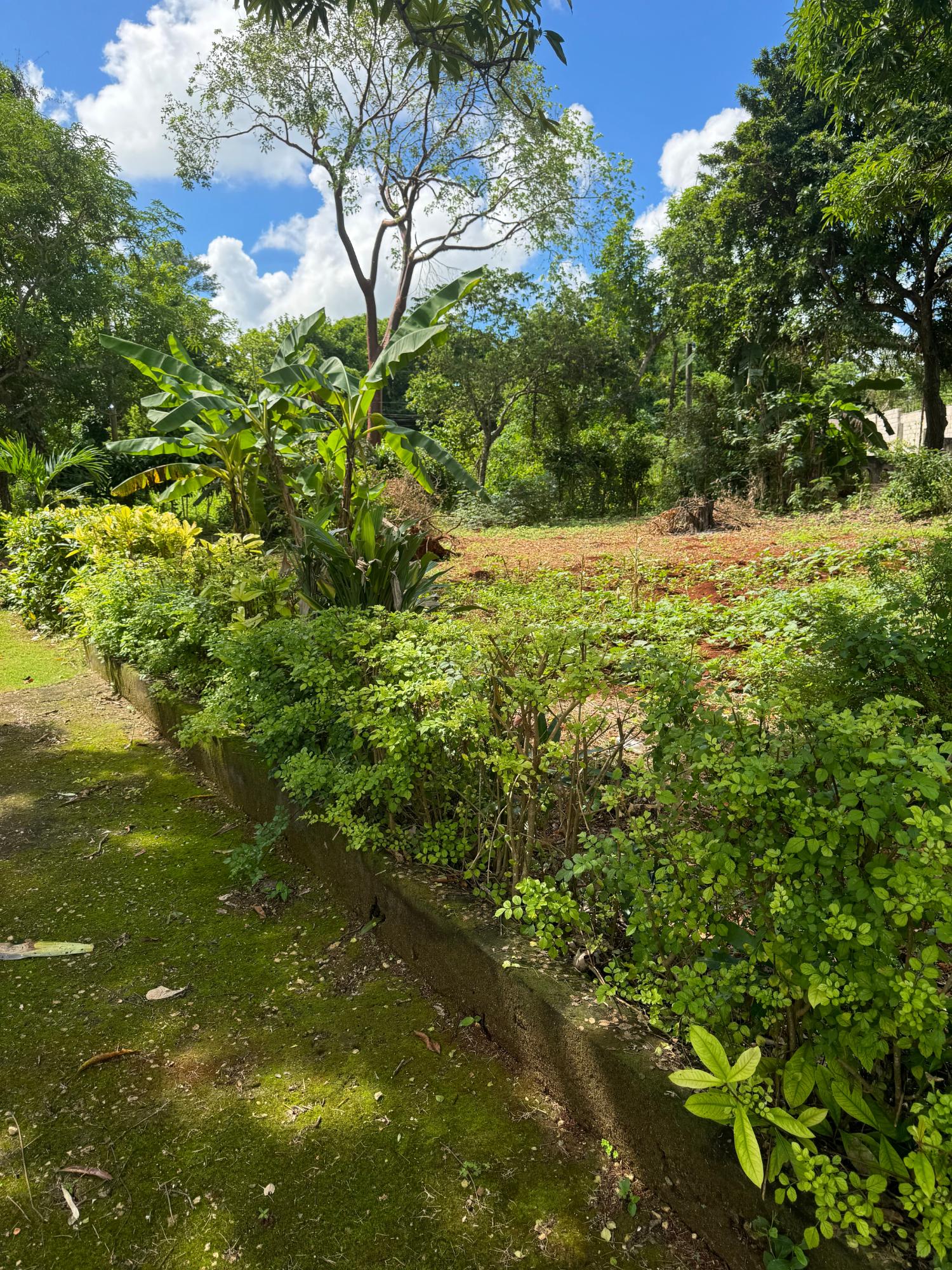 Charming-5-Bedroom-Farmhouse-in-Kitson-Town-St.-Catherine Ninth image of Kingsland, Kitson Town, s in KITSON TOWN, St. Catherine, Jamaica - property is For Sale