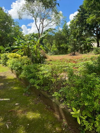 Ninth image of Kingsland, Kitson Town, s in KITSON TOWN, St. Catherine, Jamaica - property is For Sale