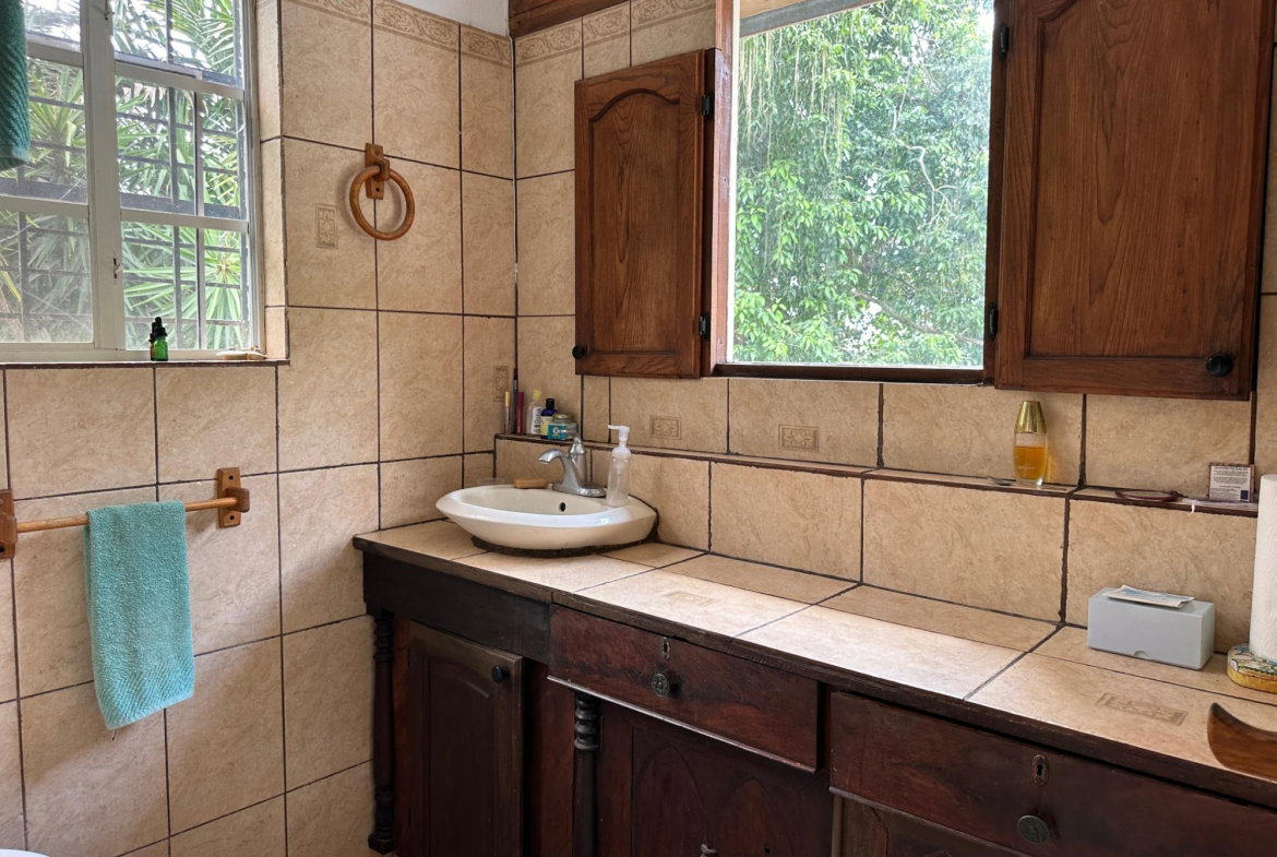 Twenty-Third image of Hermitage Dam in Kingston 9, St. Andrew, Jamaica - property is For Sale