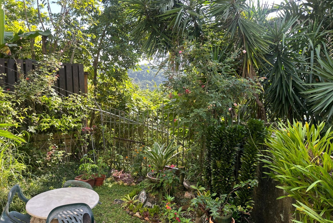 Twenty-Fourth image of Hermitage Dam in Kingston 9, St. Andrew, Jamaica - property is For Sale