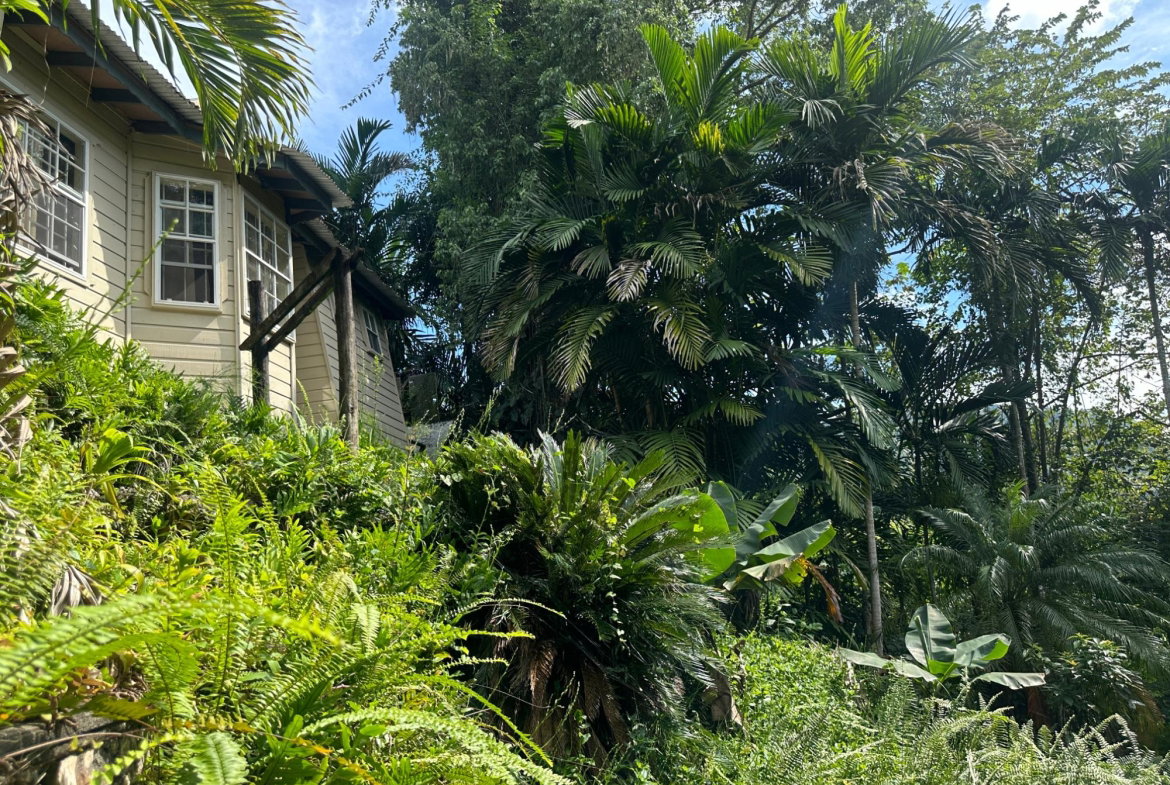 Fourth image of Hermitage Dam in Kingston 9, St. Andrew, Jamaica - property is For Sale