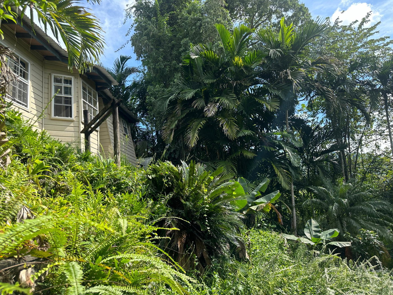 Fourth image of Hermitage Dam in Kingston 9, St. Andrew, Jamaica - property is For Sale