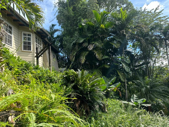 Fourth image of Hermitage Dam in Kingston 9, St. Andrew, Jamaica - property is For Sale