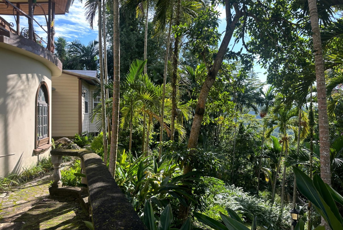 Sixth image of Hermitage Dam in Kingston 9, St. Andrew, Jamaica - property is For Sale