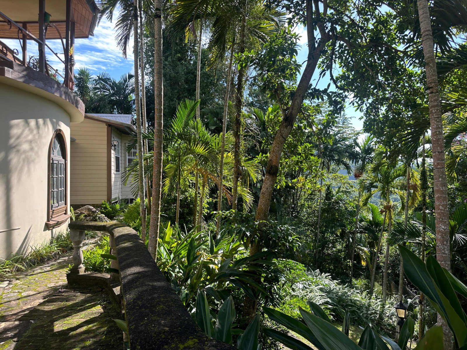Sixth image of Hermitage Dam in Kingston 9, St. Andrew, Jamaica - property is For Sale
