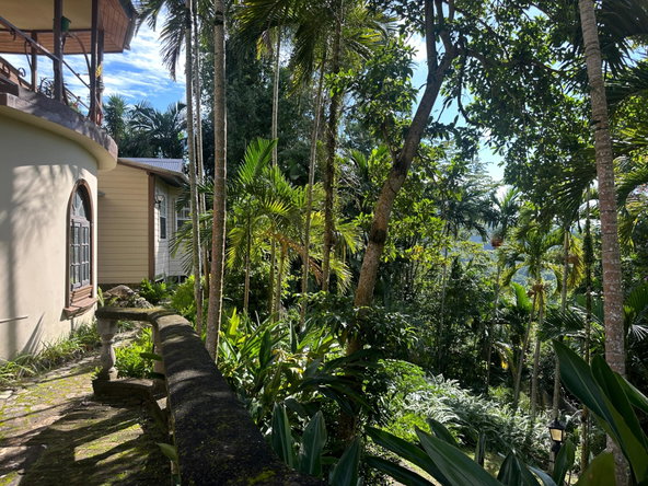 Sixth image of Hermitage Dam in Kingston 9, St. Andrew, Jamaica - property is For Sale