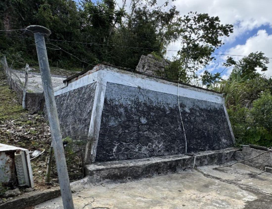 Nineteenth image of Chudleigh Manchester in Christiana, Manchester, Jamaica - property is For Sale