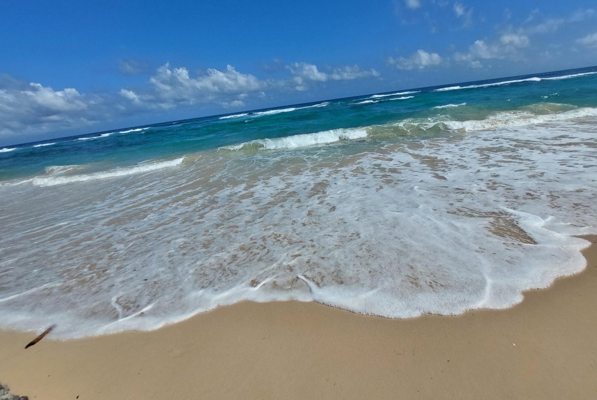 Fourteenth image of 1 Long Bay Beach, Portland in Long Bay, Portland, Jamaica - property is For Sale