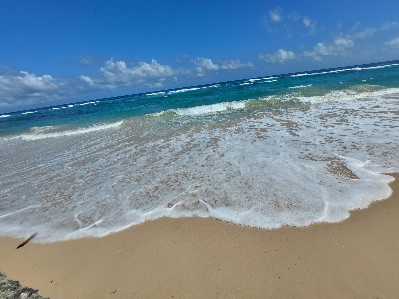 Fourteenth image of 1 Long Bay Beach, Portland in Long Bay, Portland, Jamaica - property is For Sale