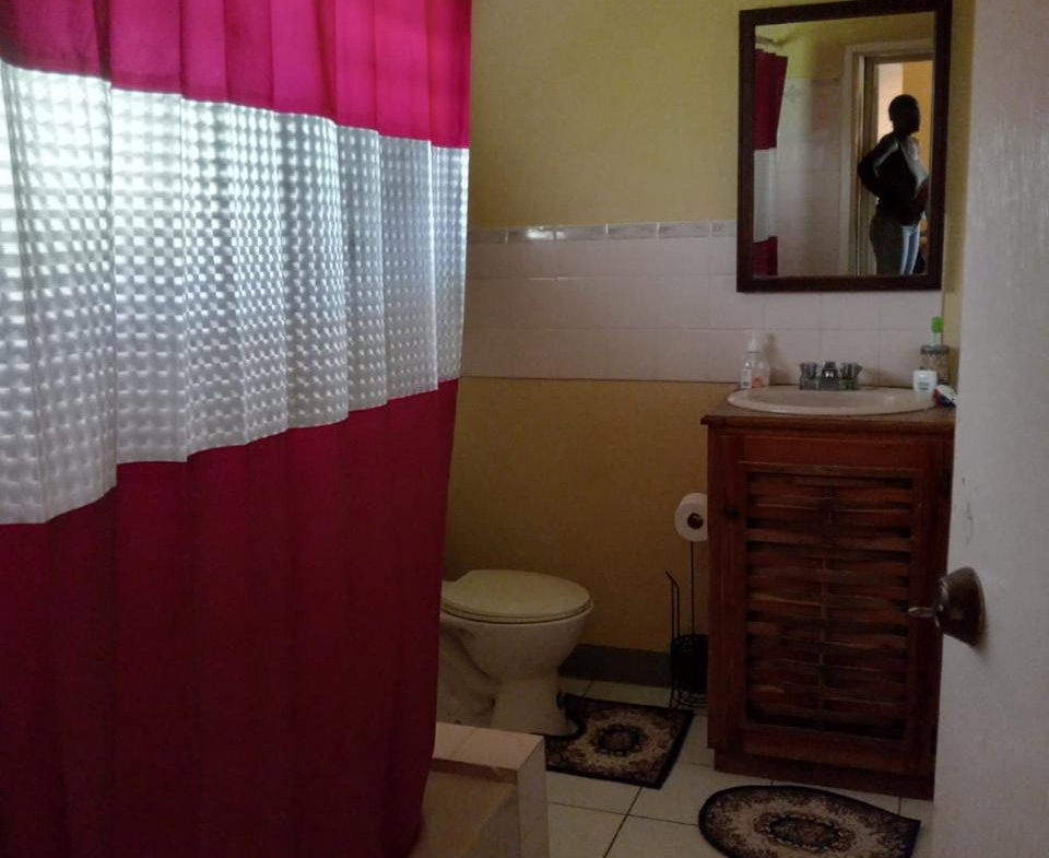 Twelfth image of Esher, Haughton Court in Haughton Court, Hanover, Jamaica - property is For Sale
