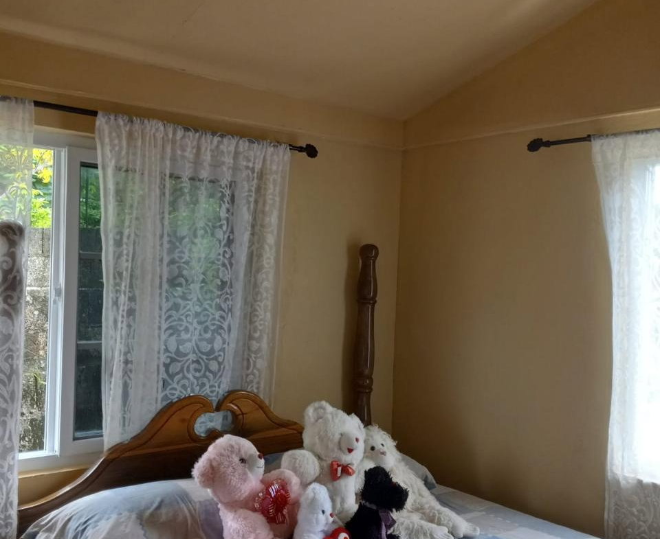 Nineteenth image of Esher, Haughton Court in Haughton Court, Hanover, Jamaica - property is For Sale
