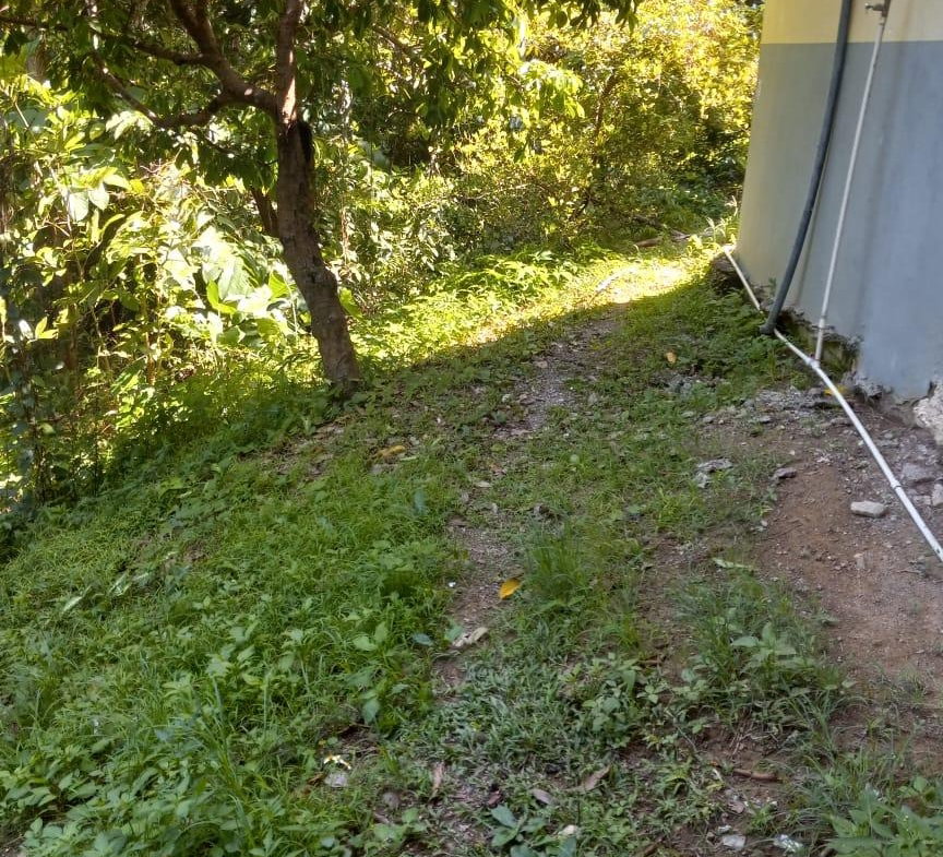 Twenty-Sixth image of Esher, Haughton Court in Haughton Court, Hanover, Jamaica - property is For Sale