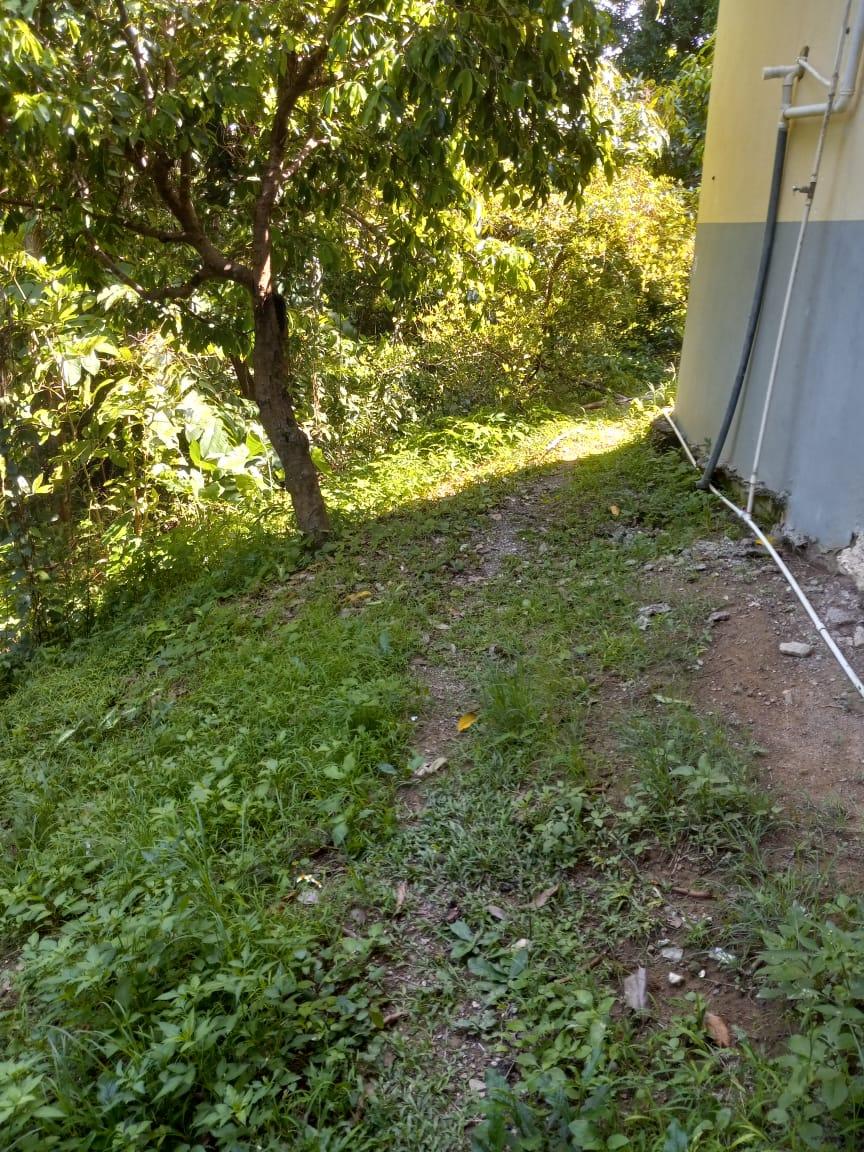 Twenty-Sixth image of Esher, Haughton Court in Haughton Court, Hanover, Jamaica - property is For Sale