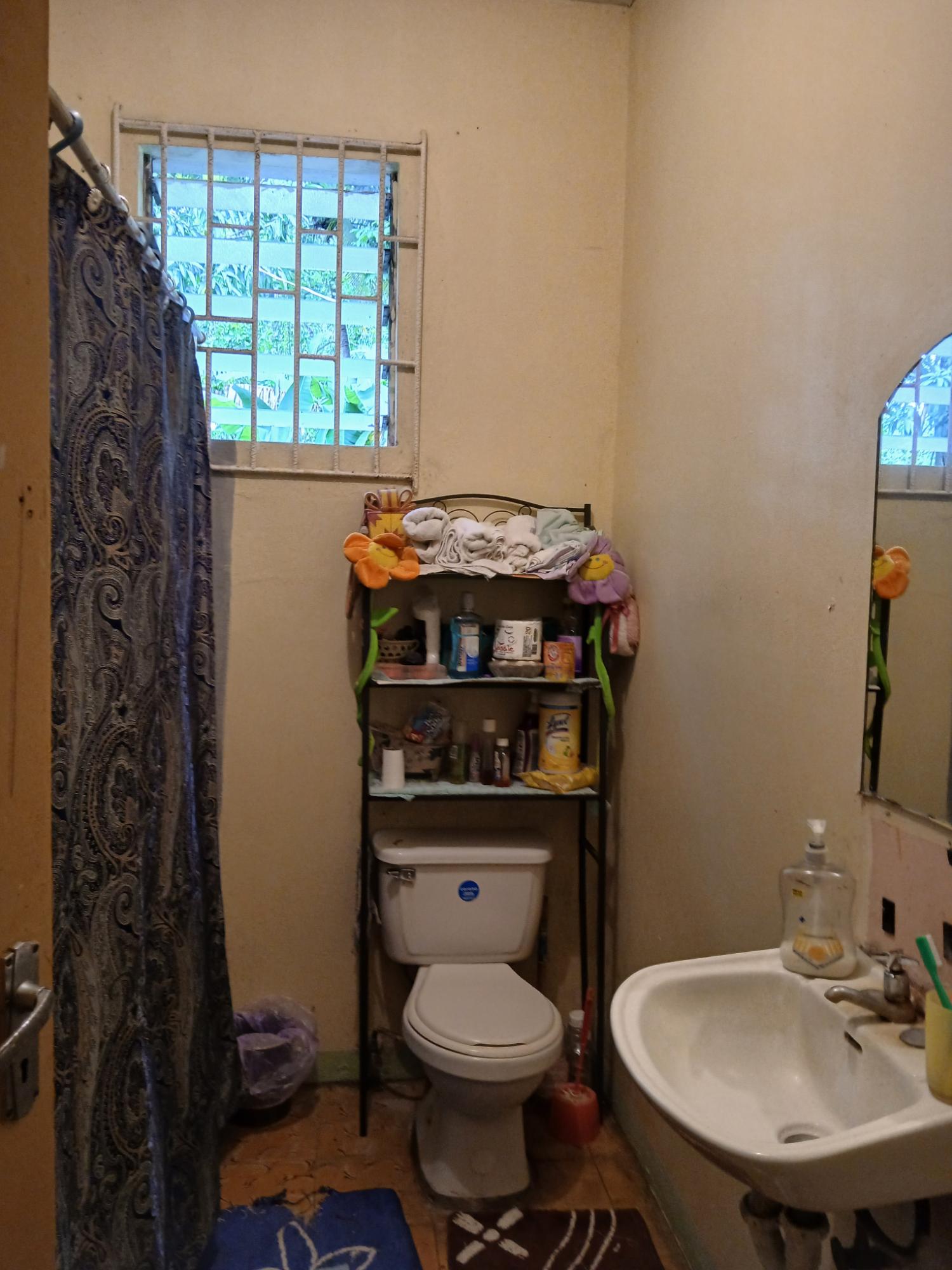Eleventh image of Frankfield in Frankfield, Clarendon, Jamaica - property is For Sale