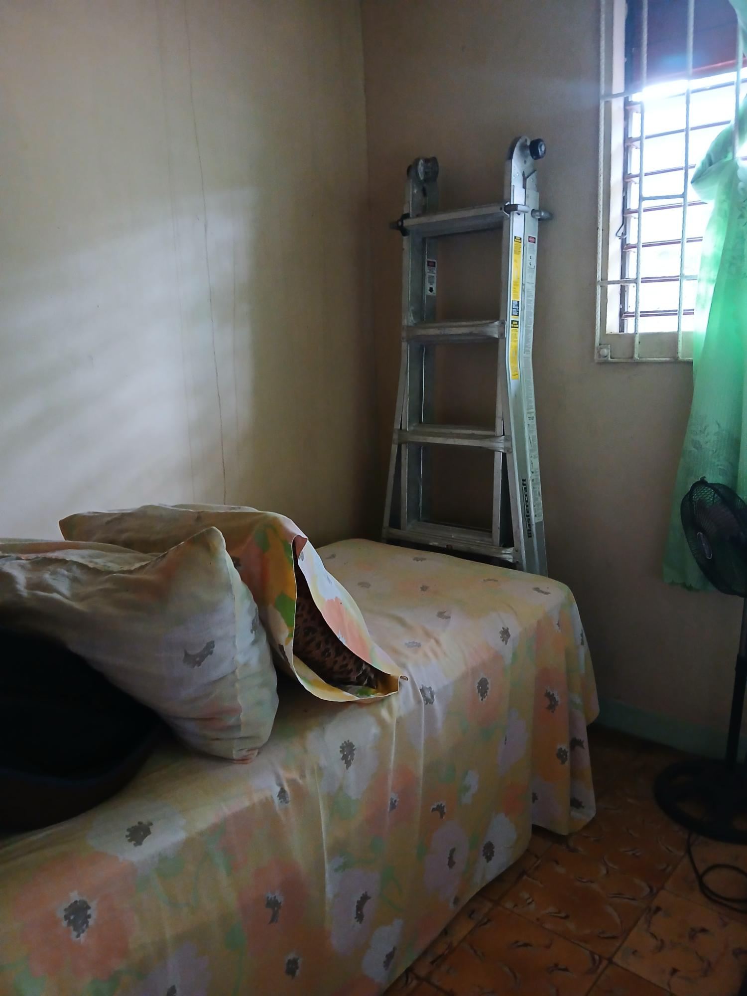 Seventeenth image of Frankfield in Frankfield, Clarendon, Jamaica - property is For Sale