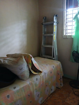 Seventeenth image of Frankfield in Frankfield, Clarendon, Jamaica - property is For Sale