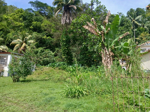 Twentieth image of Frankfield in Frankfield, Clarendon, Jamaica - property is For Sale