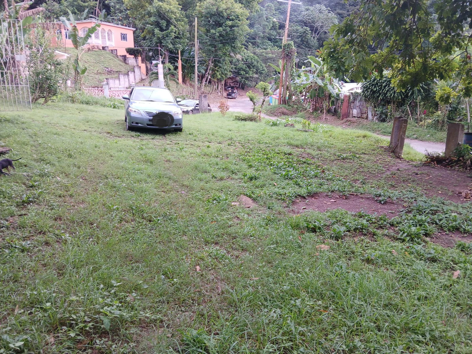 Third image of Frankfield in Frankfield, Clarendon, Jamaica - property is For Sale