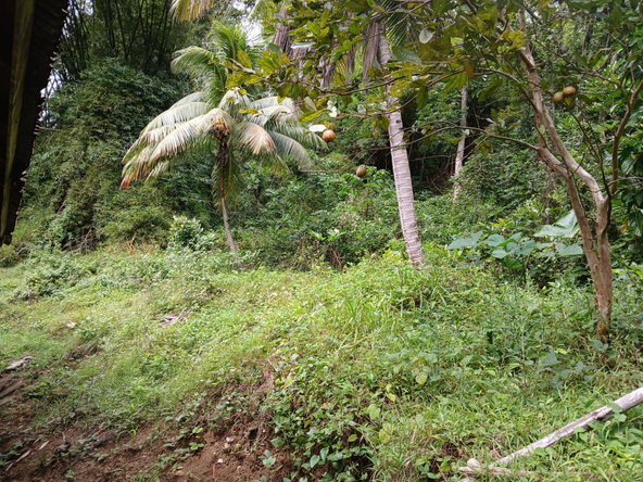 Twenty-Second image of Frankfield in Frankfield, Clarendon, Jamaica - property is For Sale
