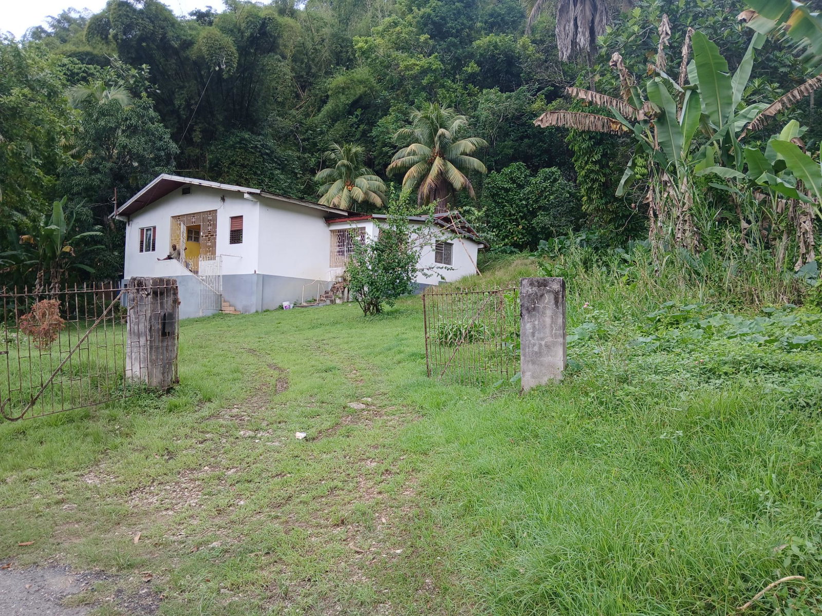 Fourth image of Frankfield in Frankfield, Clarendon, Jamaica - property is For Sale