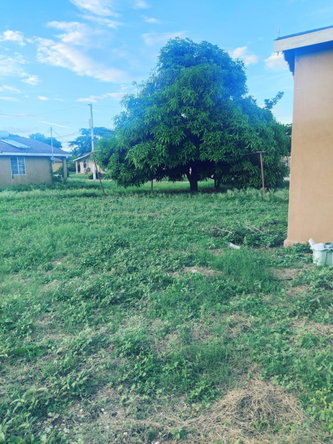 Fourteenth image of 1256 Island Circle New Harbour in New Harbour Village, St. Catherine, Jamaica - property is For Sale