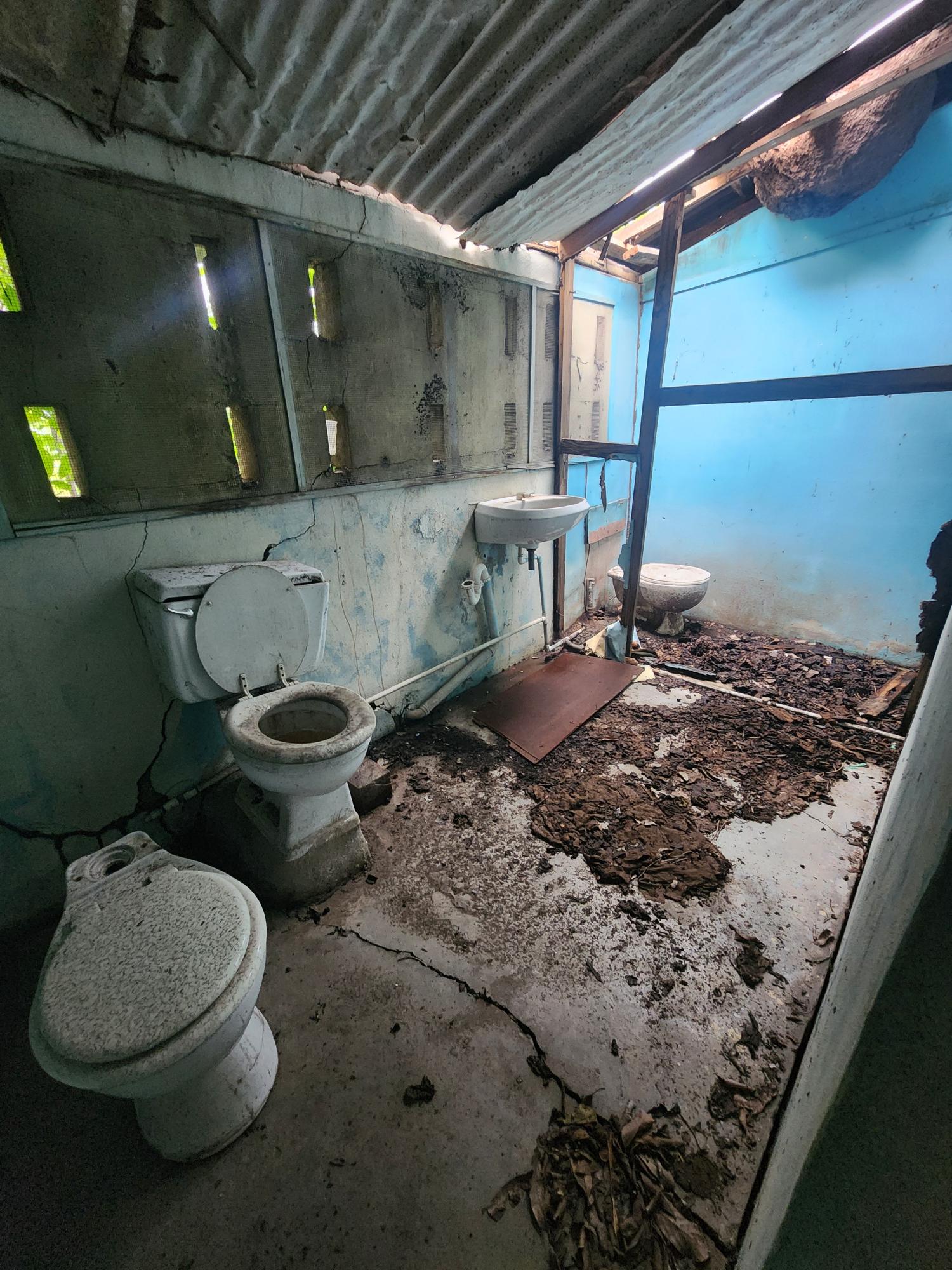 Thirtieth image of Gutters, Bushy Park in Bushy Park, St. Catherine, Jamaica - property is For Sale