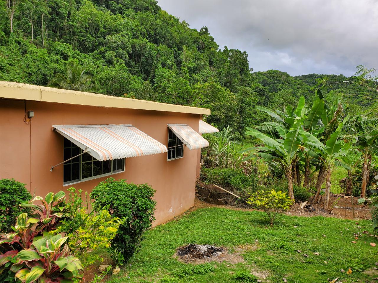 Twentieth image of Retreat in Browns Town, St. Ann, Jamaica - property is For Sale