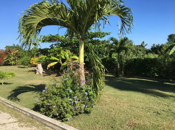 Seventeenth image of Garden-apartment Rickets Drive, Runaway ba in Runaway Bay, St. Ann, Jamaica - property is For Rent