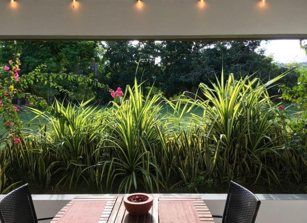 Twentieth image of Garden-apartment Rickets Drive, Runaway ba in Runaway Bay, St. Ann, Jamaica - property is For Rent