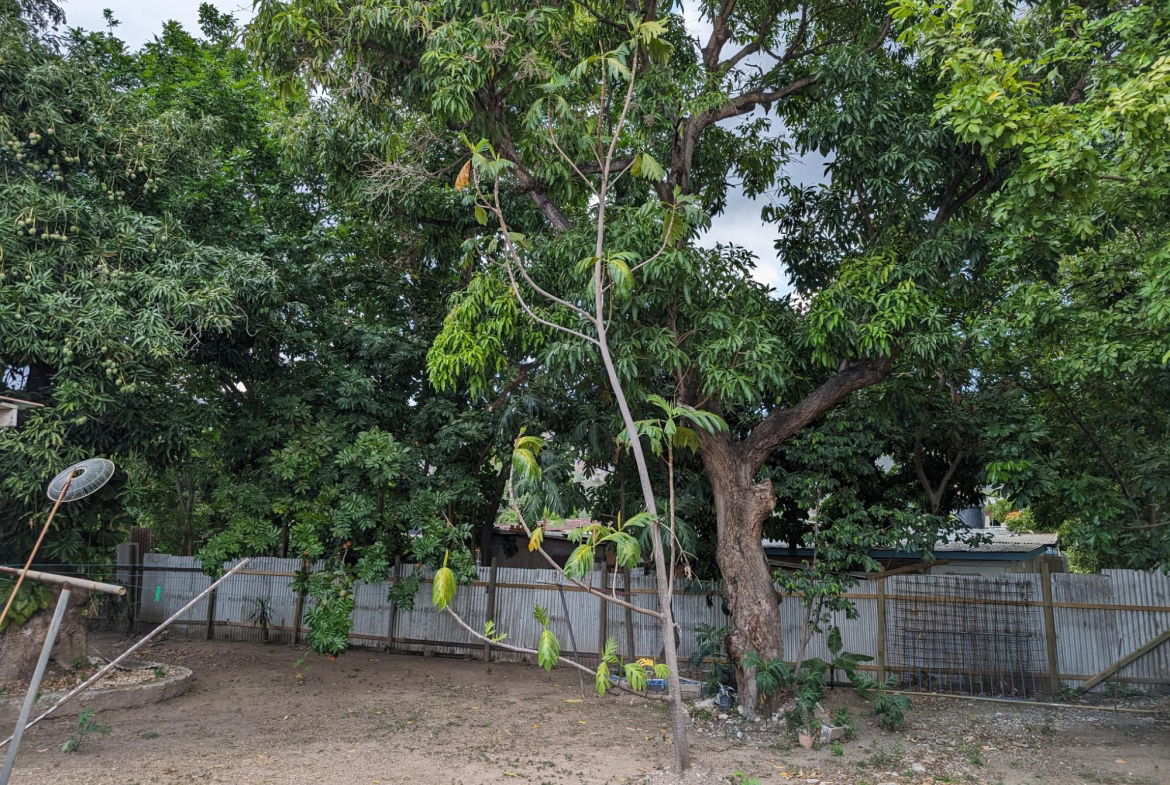 Eighth image of B-30 Havendale Drive in Havendale, St. Andrew, Jamaica - property is For Rent