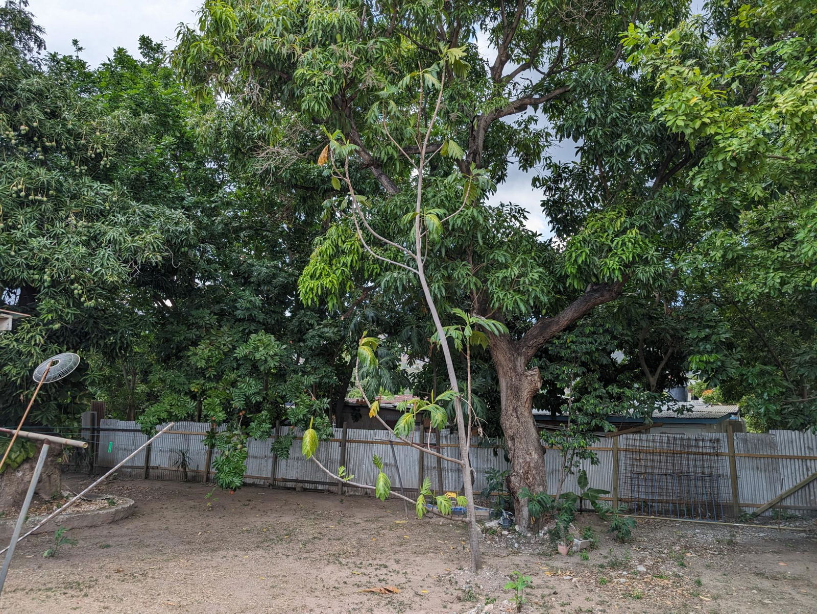 Eighth image of B-30 Havendale Drive in Havendale, St. Andrew, Jamaica - property is For Rent