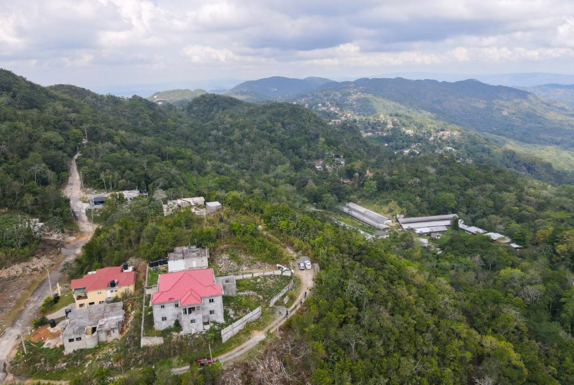 Twenty-Sixth image of 31 Coopers Hill in Kingston 19, St. Andrew, Jamaica - property is For Sale